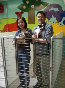 yvonne and phil puppy parlor
