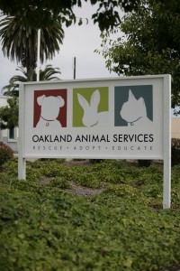 OAS sign
