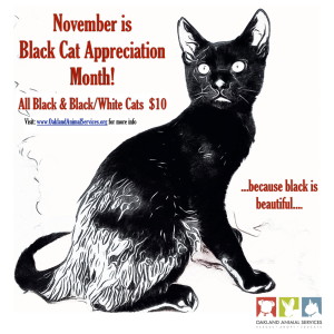 Black Cat Appreciation Month-page-001