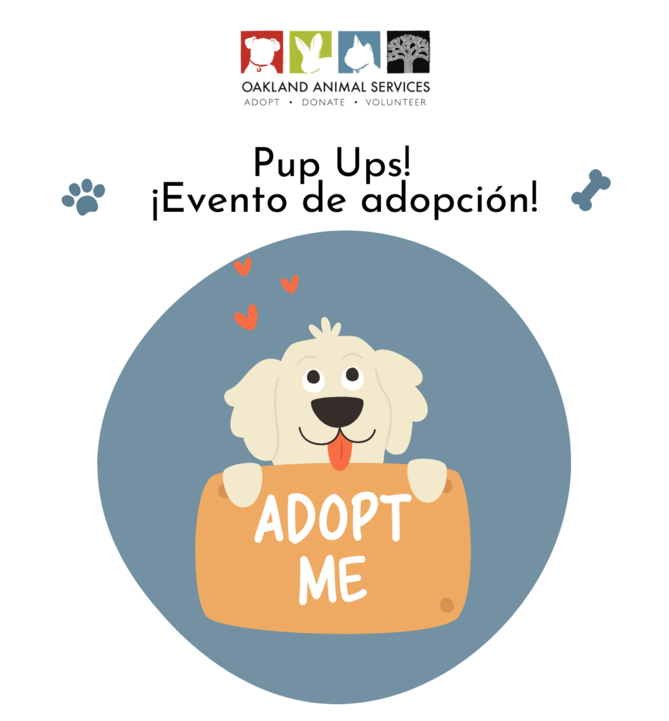 Pup Up /Evento de adopcion