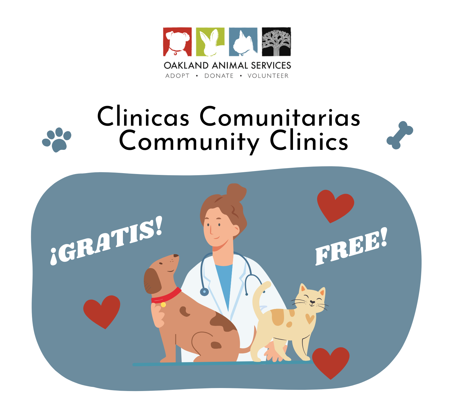 Community Clinics / Clinicas Comunitarias