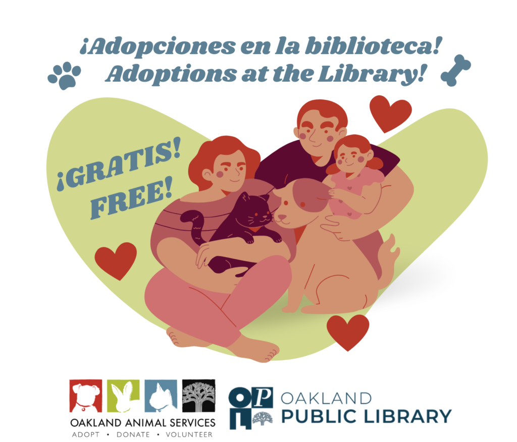 Adoptions at the Library. Adopciones en la biblioteca.